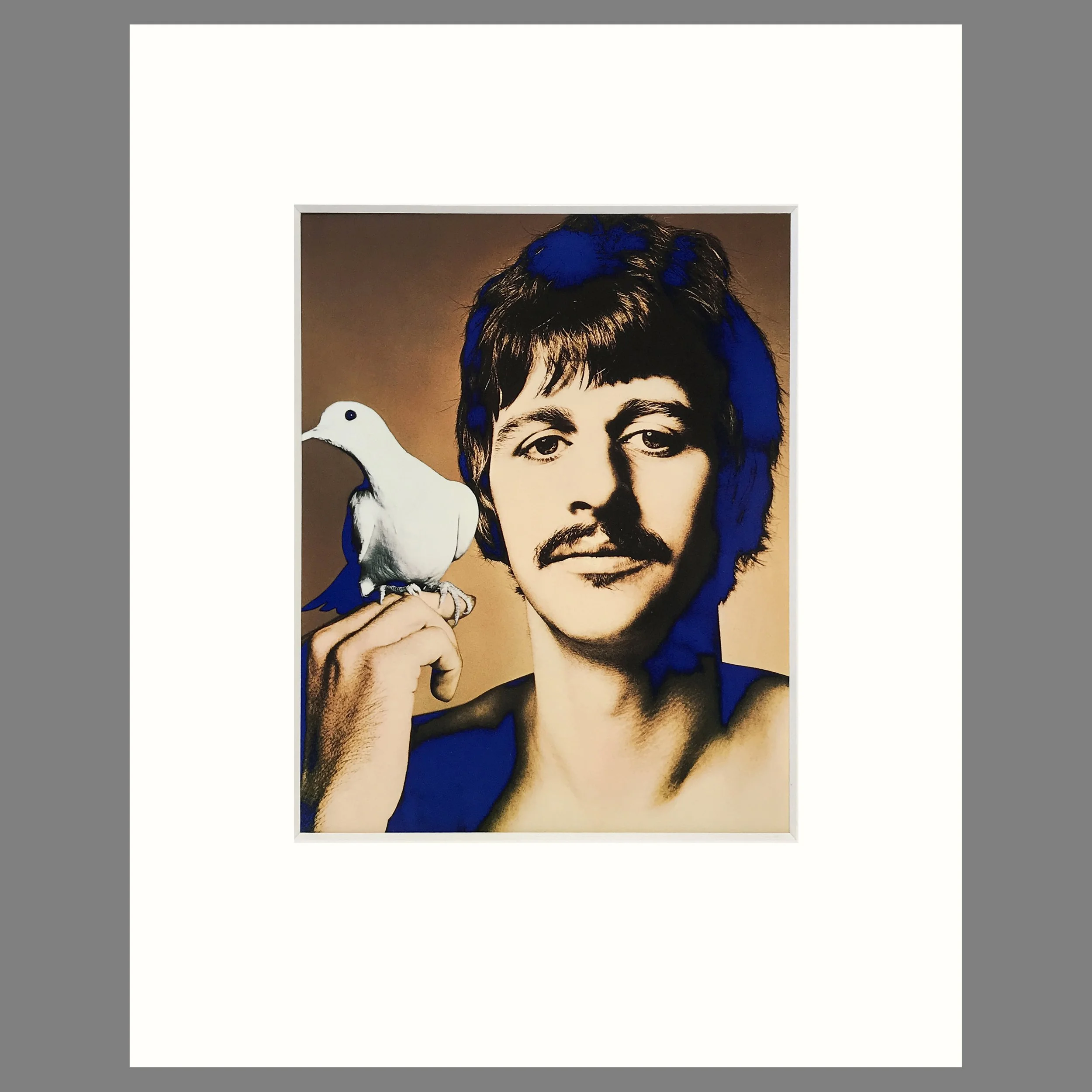 Ringo Starr Photograph with Dove - Richard Avedon Photograph