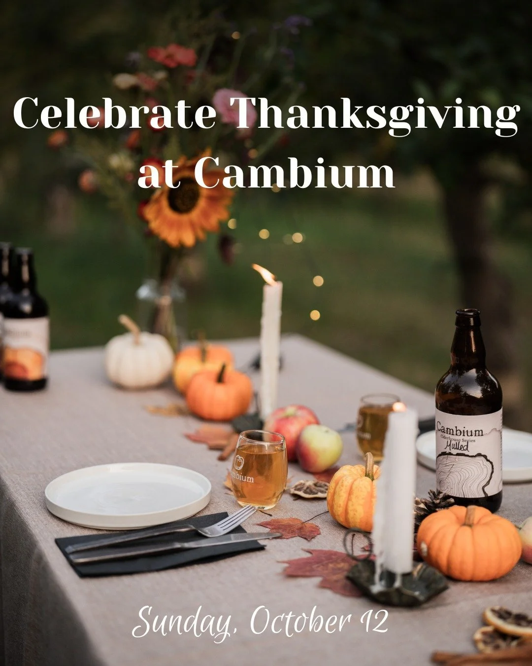 Celebrate Thanksgiving at Cambium with your loved ones!

Join us Sunday, October 12 for a special 3-course Thanksgiving Turkey dinner. It&rsquo;s the perfect way to celebrate with your loved ones, without any of the cooking or cleaning! 

This will a