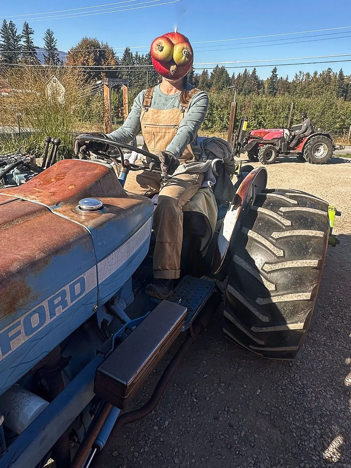 ⚠️ Warning ⚠️ 

At Cambium, working among so many apples may cause spontaneous apple transformations! 😄

#cambiumciderco #OkanaganVibes #SupportLocal #woodfiredpizzas #restaurantvernonbc #trailsCapitalofBC #tourismvernon#VernonBC #Explorenorthokanag