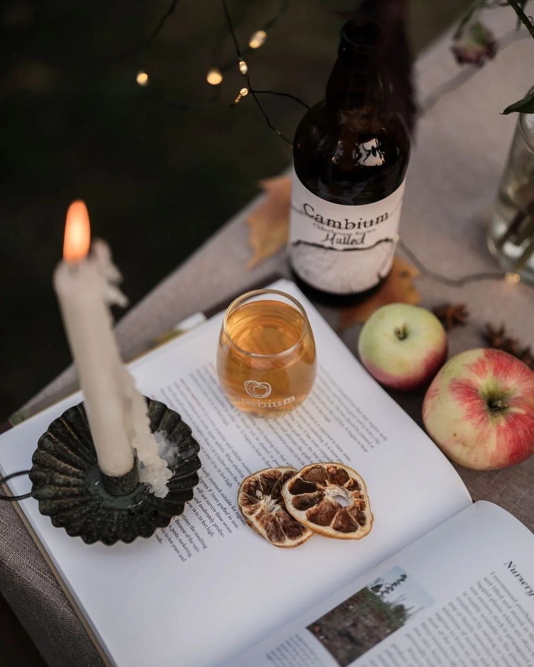 This time of the year when all you want is warmth and comfort, our Mulled Cider is the perfect match: gently spiced, soothing, and made to enjoy by the fire or under a blanket. 

#cambiumciderco #OkanaganVibes #SupportLocal #woodfiredpizzas #restaura