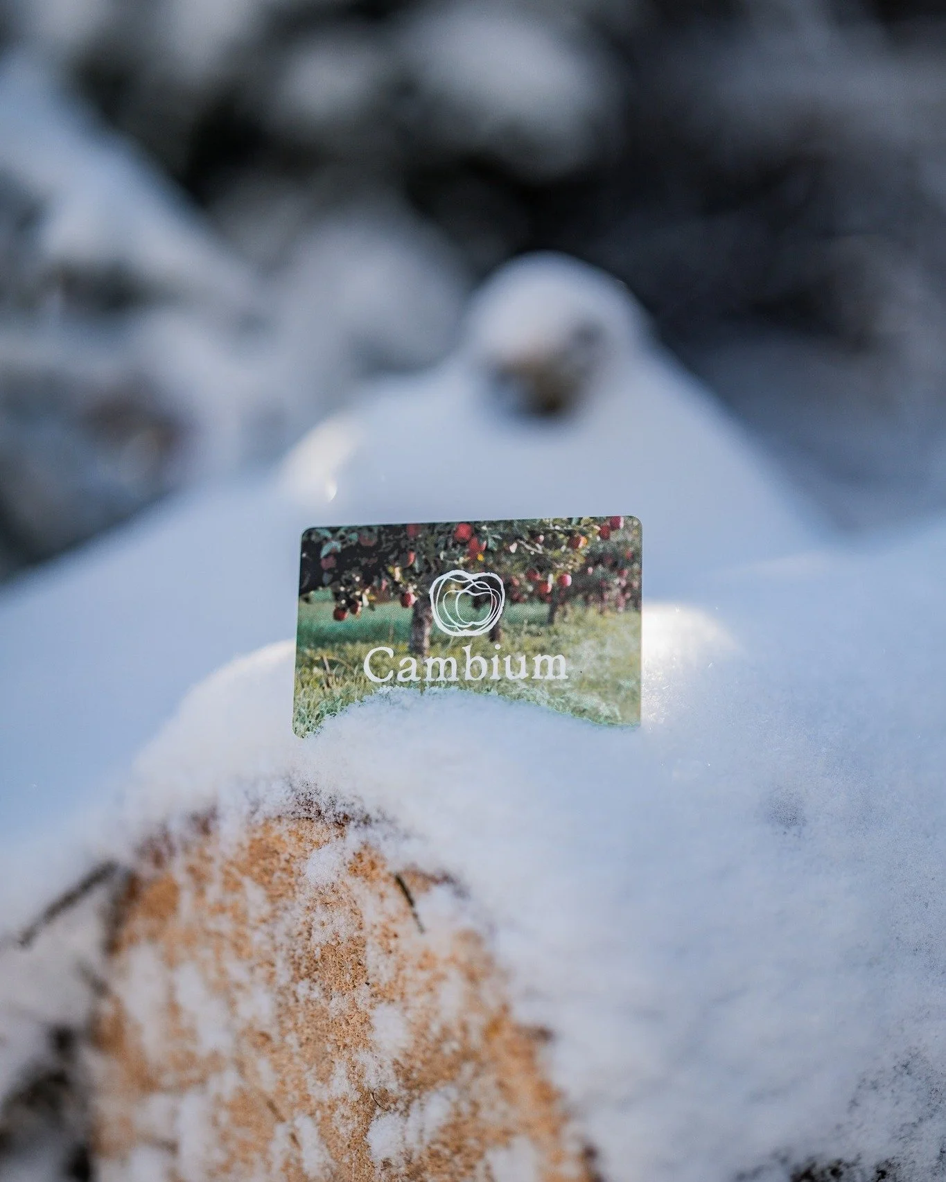 Looking for the ideal holiday gift? 
Keep it simple and thoughtful with a Cambium gift card! 

Whether a cosy dinner in the dining room, a sunny summer afternoon on the patio with a glass of cider, or a restock at the ciderhouse, our Gift Cards  are 