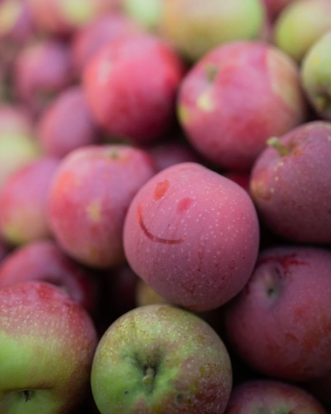 Did you know that Feb 10, today, is Canada&rsquo;s Agriculture Day 🍎? 

This is a day to honour our farmers who work the land, day after day, with passion, resilience, and care.

At Cambium, the heart of why we exist is agriculture. Cider is how we 