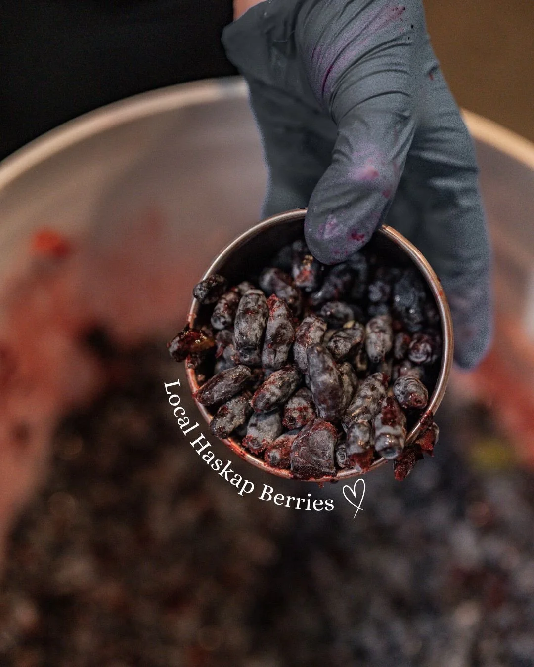 Who likes Haskap Berries? 🫐

Haskaps, also called Honeyberry, are an antioxidant-rich super food - tasting like a cross between a blueberry, raspberry, and cranberry. The fruit we used in our 2025 vintage was organically grown in Coldstream, BC . We