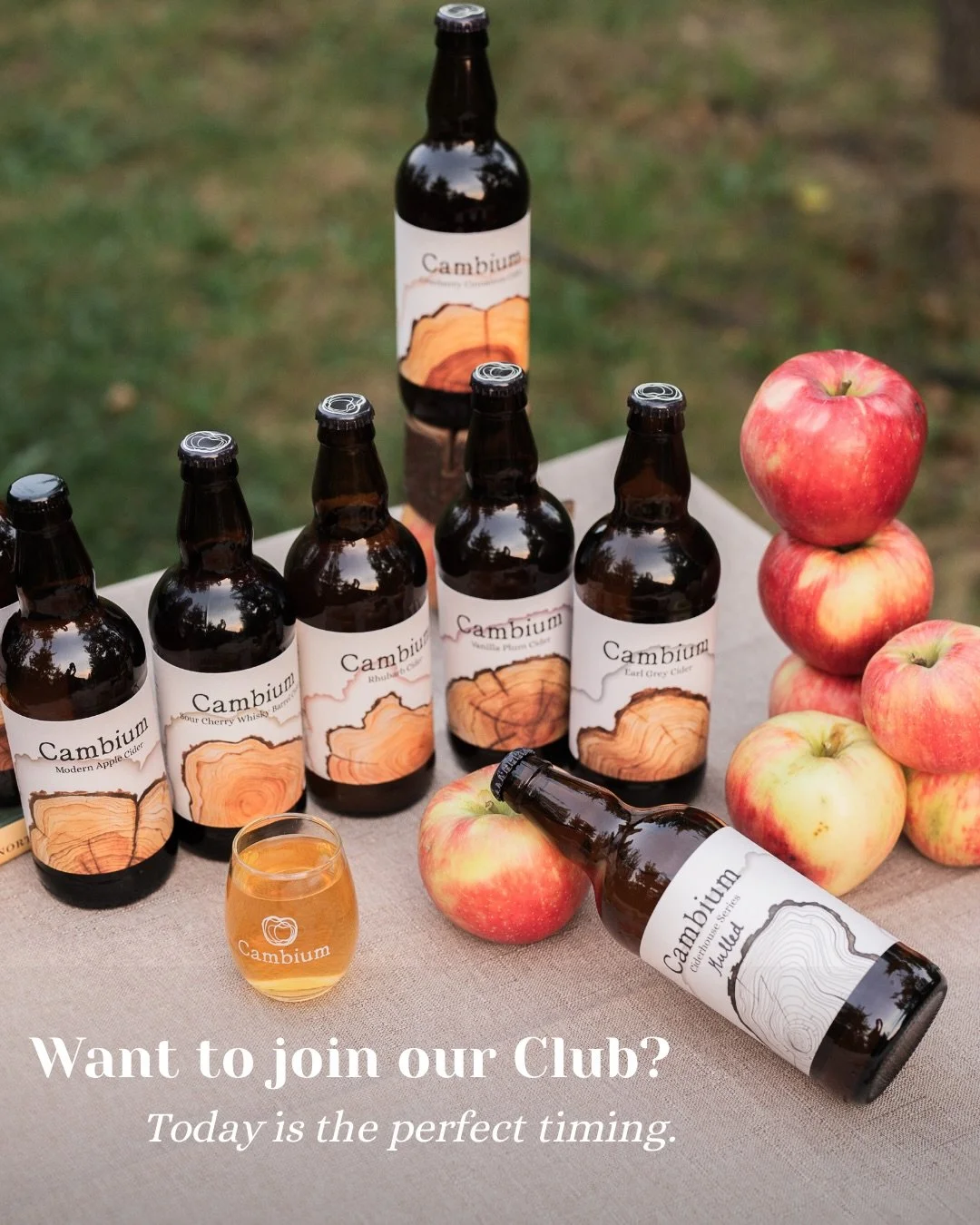 Membership means you get first access, always!
Early releases, small batches and seasonal drops reserved for our closest community.

The first case of the year arrives late March, so you still have time to subscribe and get this special first box! 

