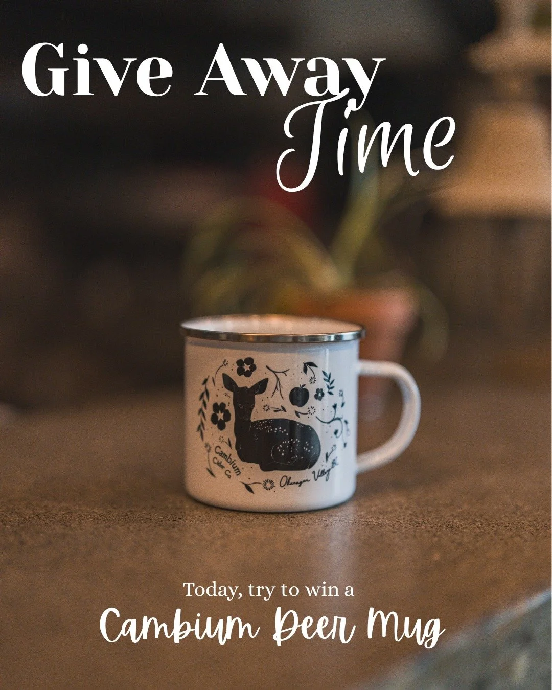 GIVEAWAY time! 4/10

What better way to start the day than with a Cambium mug? They are our new favourite item in the shop!

To participate:

- Follow our account
- Like this post
- Tag a friend you&rsquo;d enjoy a cider with

Bonus entry: share this