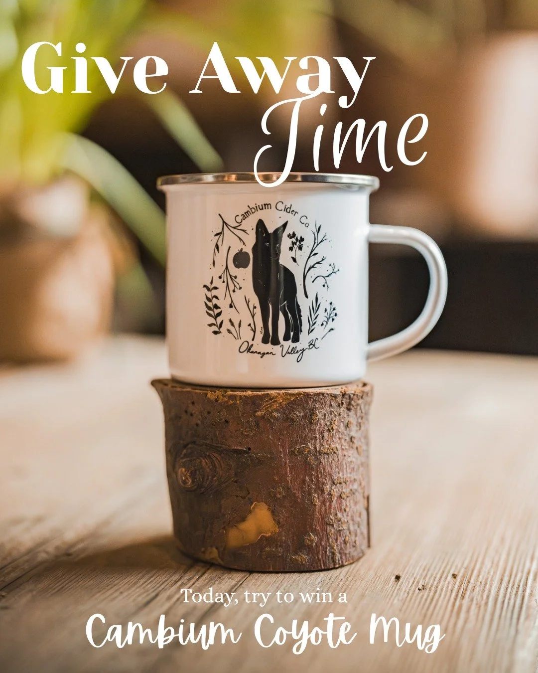 GIVEAWAY time! 7/10

After the Deer Mug, the Bear Mug, now is time to win the Coyote Mug, the perfect companion for slow mornings, road trips, or evenings by the fire in the Okanagan Valley. 
Artwork by local friend &amp; artist Miranda Hamm 

To par