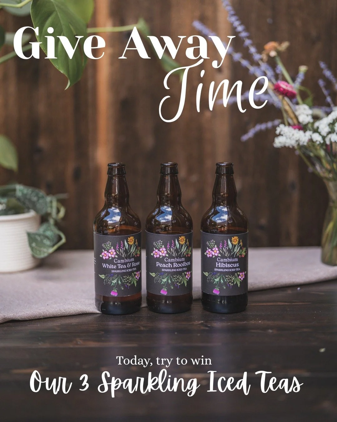 GIVEAWAY time! 8/10

They were favourites from last year&hellip; And today we&rsquo;re giving one of you the chance to take them home: a set of the three Sprakling Iced teas crafted at Cambium.
To participate: 

- Follow our account
- Like this post
