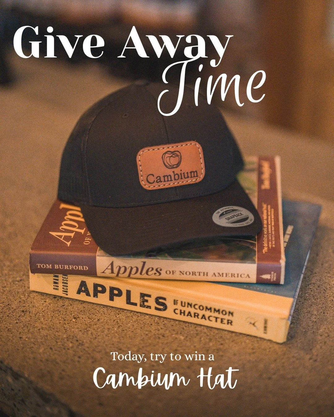 GIVEAWAY time! 9/10

To stay protected from the spring sun (which can be pretty intense in the Okanagan Valley!) so today you can try to win this Cambium cap. And no, this isn't a joke ;) 
To participate: 

- Follow our account
- Like this post
- Tag