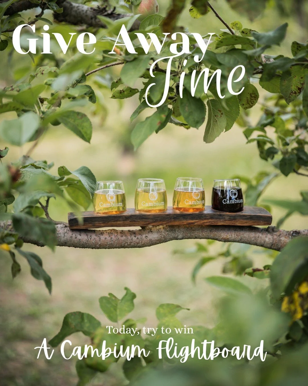 GIVEAWAY time! 10/10

They&rsquo;re one of the most requested items&hellip; But we don&rsquo;t sell them.
Our Cambium flight boards! And today, you have the chance to take one home.
To participate: 

- Follow our account
- Like this post
- Tag a frie