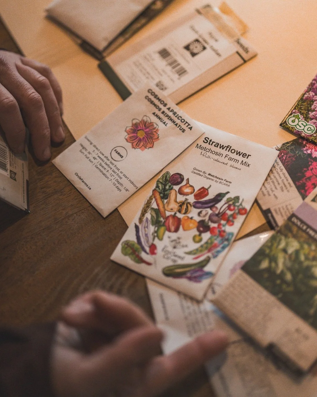 Before the colourful flowers&hellip; 🌷🌻 

There are Canadian seeds from @circlefarms.ca , @westcoastseeds and @bcecoseedcoop ! And everything starts in the cidery where we&rsquo;ve started planting for the season ahead: future herbs for the kitchen