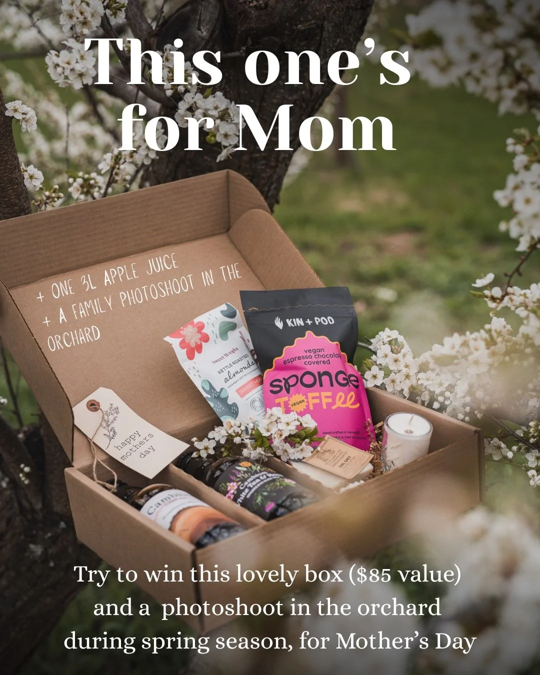 Mother&rsquo;s Day is just around the corner, and we&rsquo;re offering you a chance to spoil her 🌸

We&rsquo;ve teamed up with @garance.stories to give away a special gift for mom: a photoshoot in the orchard, plus a beautiful &ldquo;Made at Cambium