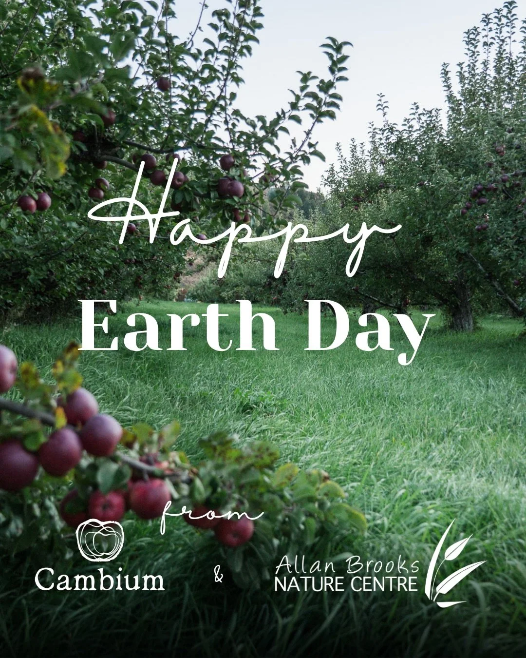 GREAT NEWS! 

We are excited to announce that we&rsquo;ve teamed up with the  @abnc.vernon , with a shared intention to learn from nature, and care for it.

This year, we are proud to say that a portion of sales from our new &ldquo;Animals from our O