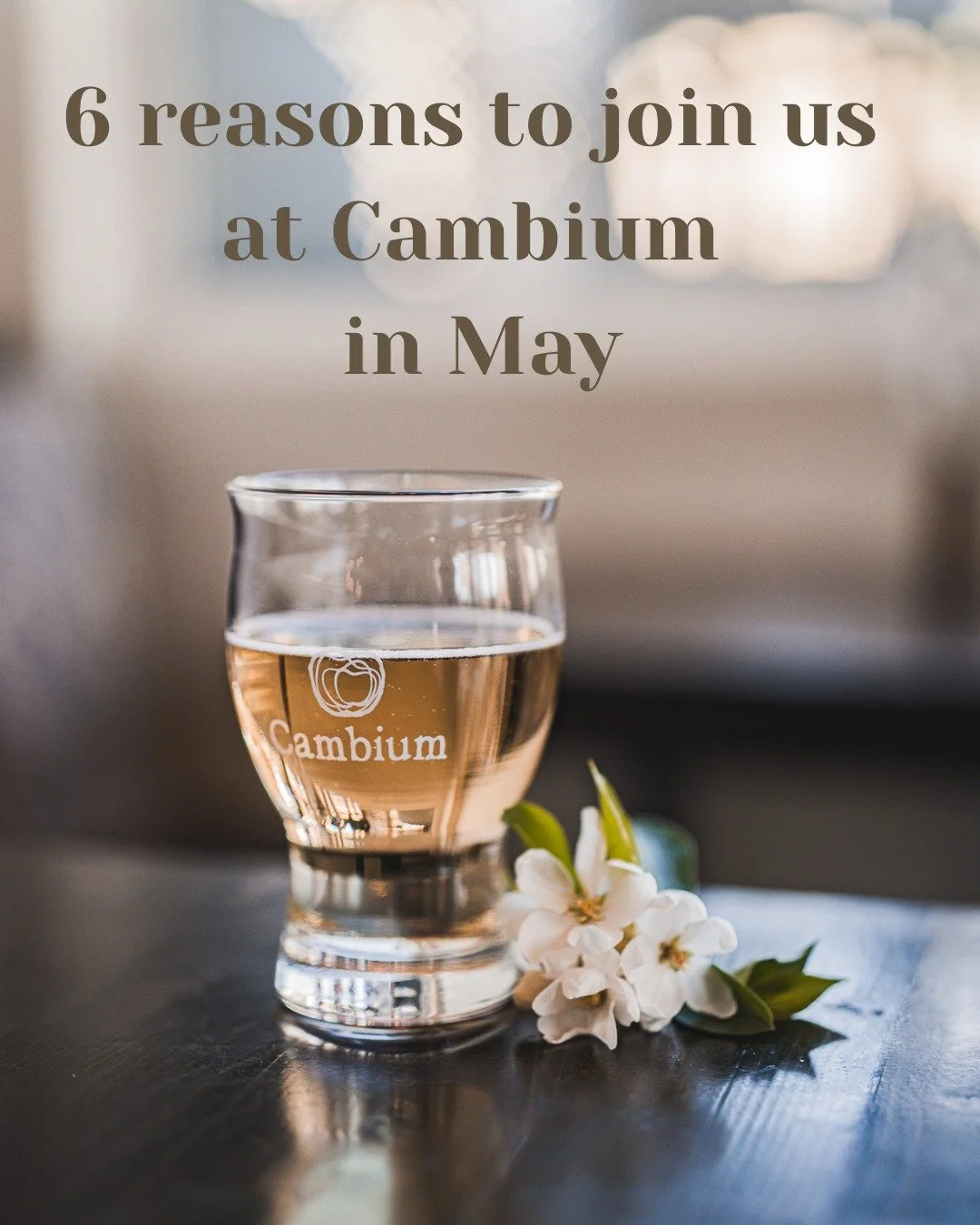 Did we say that it was the best month? 🫣

Best restaurants in Vernon - Farm to Table restaurant - What to do in Vernon BC - Mother's Day Vernon BC - cidery Okanagan Valley - Tasting in the Okanagan Valley - Tasting tour - Wine Tour Vernon - Blossom 