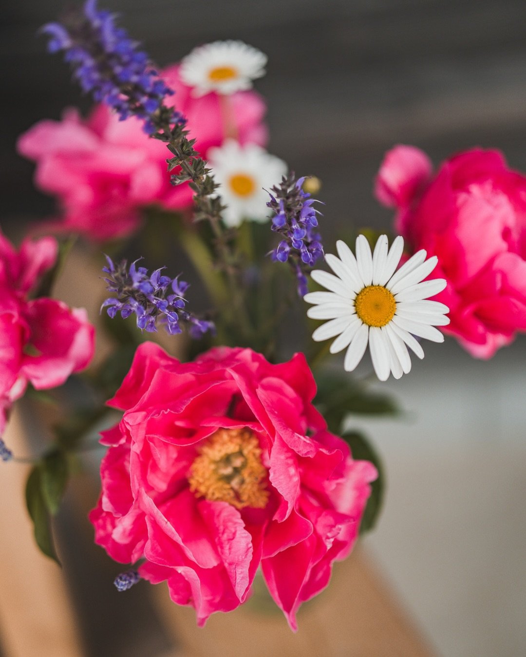 Summer brings colour back to Cambium 🌸 

From the gardens surrounding the ciderhouse to the beautiful fresh bouquets you&rsquo;ll find throughout the space, little pops of fresh flowers bring cheer and colour to our space. 

This beauty is thanks to