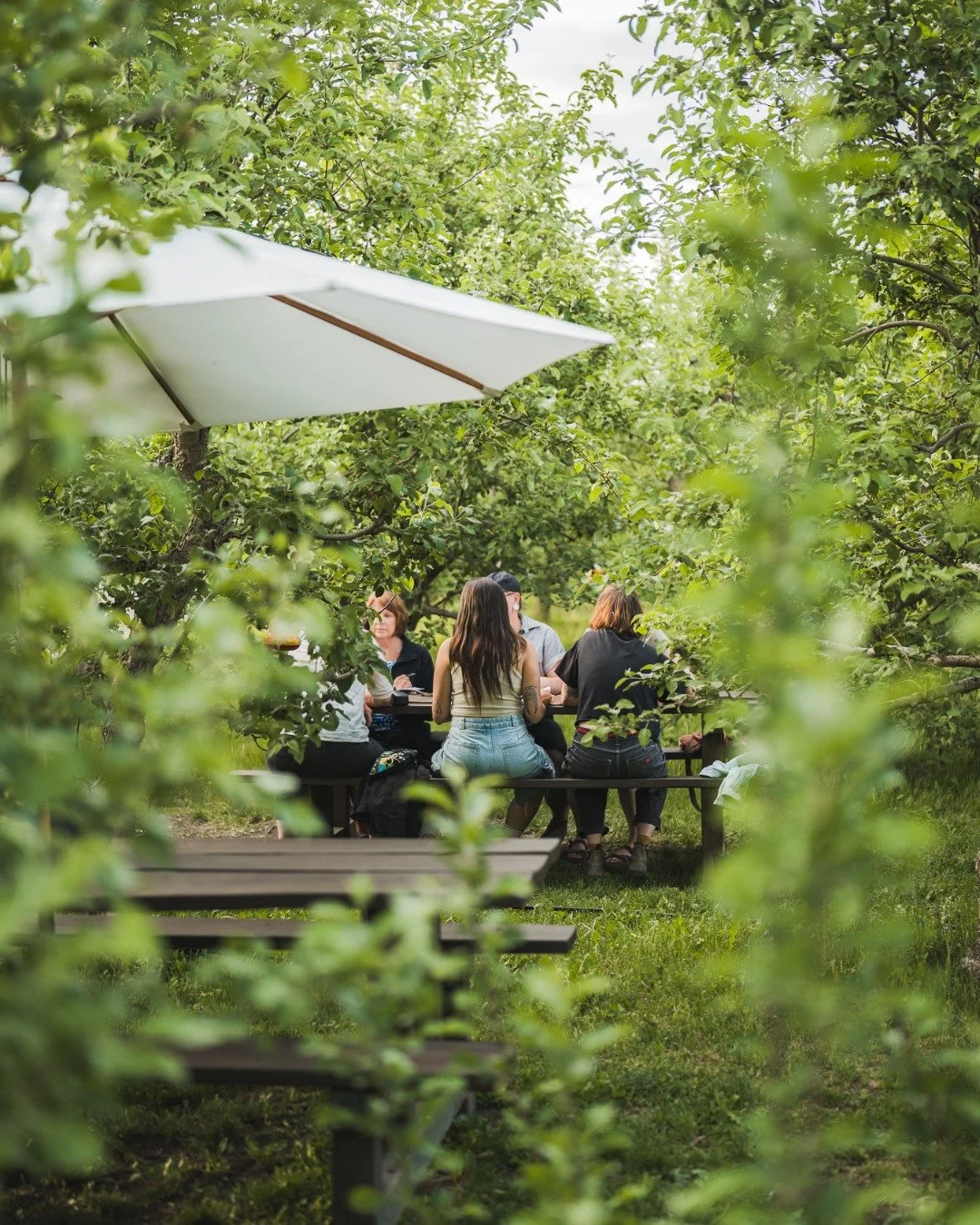 What we mean when we say we are ""outdoorsy"" 

Sitting in the orchard never disappoints! 
Join us for a sunny afternoon among the trees at Cambium 

Okanagan Ciders Vernon BC - Farm to Table restaurant - What to do in Vernon BC -