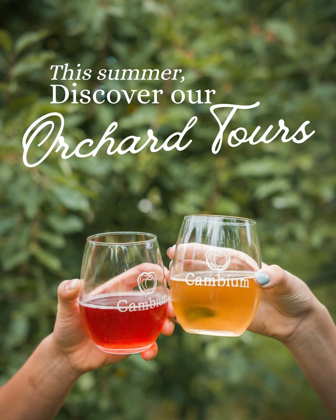 Orchard Tours are now available on weekends! 🍎 

Step into our Organic orchard and discover where the story of our cider  begins.
Our 30-minute guided walk takes you through the trees, where you'll learn how we grow apples organically in the Okanaga