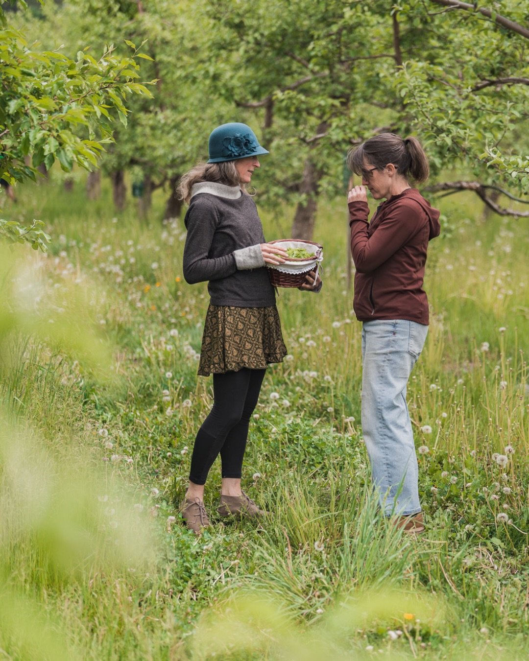 A new cider is coming this fall.... A special collaboration that will enchant those who love all things forest. 
Any guesses? 

Okanagan Ciders Vernon BC - Farm to Table restaurant - What to do in Vernon BC - cidery Okanagan Valley - Tasting in the O