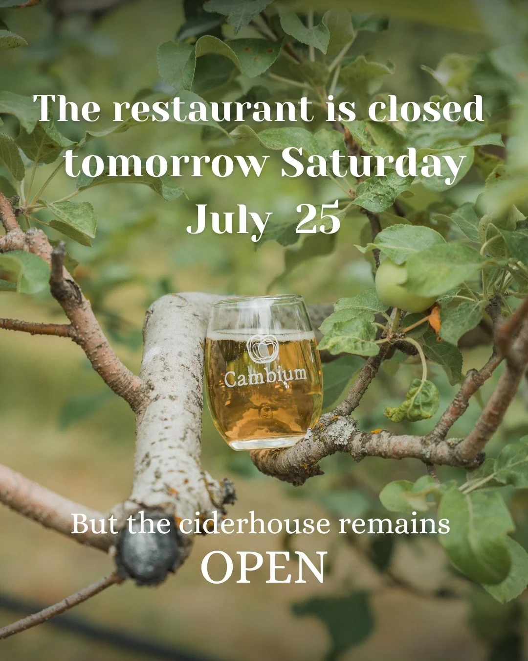 The restaurant is CLOSED tomorrow, July 25, but the Ciderhouse remains OPEN 🍏

Book online for an Orchard Tour at 1pm or 3pm, or come for a little tasting at the Ciderhouse, available all day long. 

No Food is Available tomorrow. 
Book your tour on