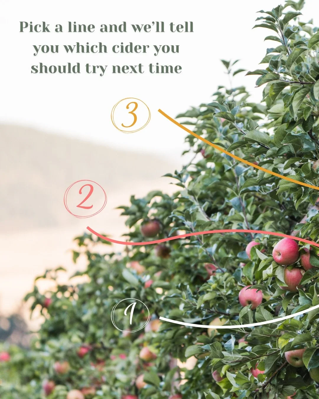 Not sure which cider to try next?

We are here to help you make your decision! 

Choose a line, follow it to your match, and discover your next drink! 

Okanagan Ciders Vernon BC - Farm to Table restaurant - What to do in Vernon BC - cidery Okanagan 