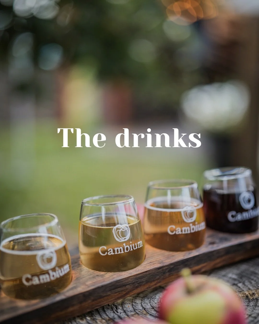 For this end of summer, catch the Cambium vibe.

We&rsquo;d love to see you!

Book your table now with the link in bio. 

Okanagan Ciders Vernon BC - Farm to Table restaurant - What to do in Vernon BC - cidery Okanagan Valley - Tasting in the Okanaga