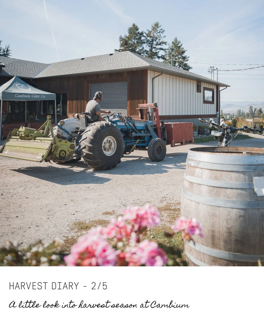 Cambium&rsquo;s Harvest Diary 2026 2/5

Okanagan Ciders Vernon BC - Farm to Table restaurant - What to do in Vernon BC - cidery Okanagan Valley - Tasting in the Okanagan Valley - Tasting tour - Wine Tour Vernon
#FarmToTable #OkanaganEats #VernonBC #S