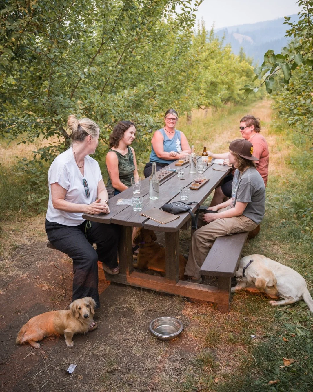 Bring your best friend along! 🐾

Cambium&rsquo;s orchard seating is pet-friendly, so your four-legged friends can join you for good food, fresh air, and a little time outside! And the weather is perfect this weekend 👀

Okanagan Ciders Vernon BC - F