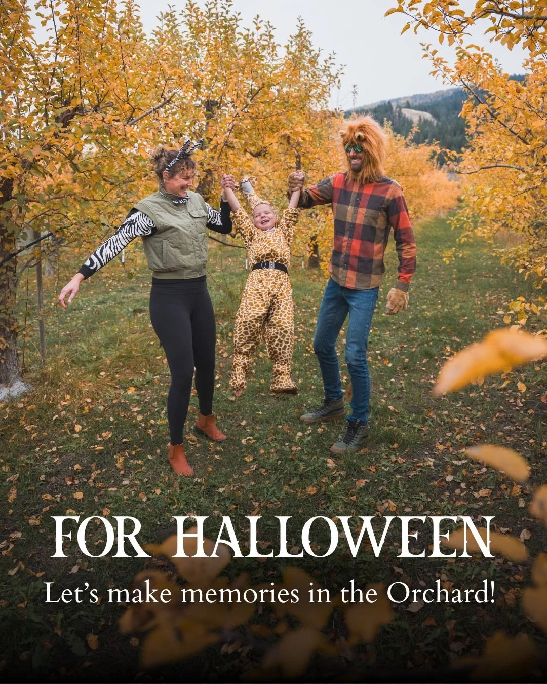 Good food, good company... And creating a little fall memory! 🎃

Book your table ahead of time through our website to enjoy your complimentary orchard photo during lunchtime on October 31. 

Photos are available ONLY between 12 and 3pm. Reservations