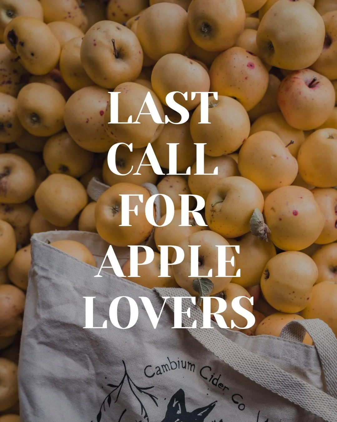 🍎 Last call for apple lovers! 🍎

Apple season is coming to an end, and this week is your last chance to stock up on fresh, organic apples straight from our orchard!
We have Aurora, Gala and Ambrosia apples left. 

Whether you&rsquo;re planning some