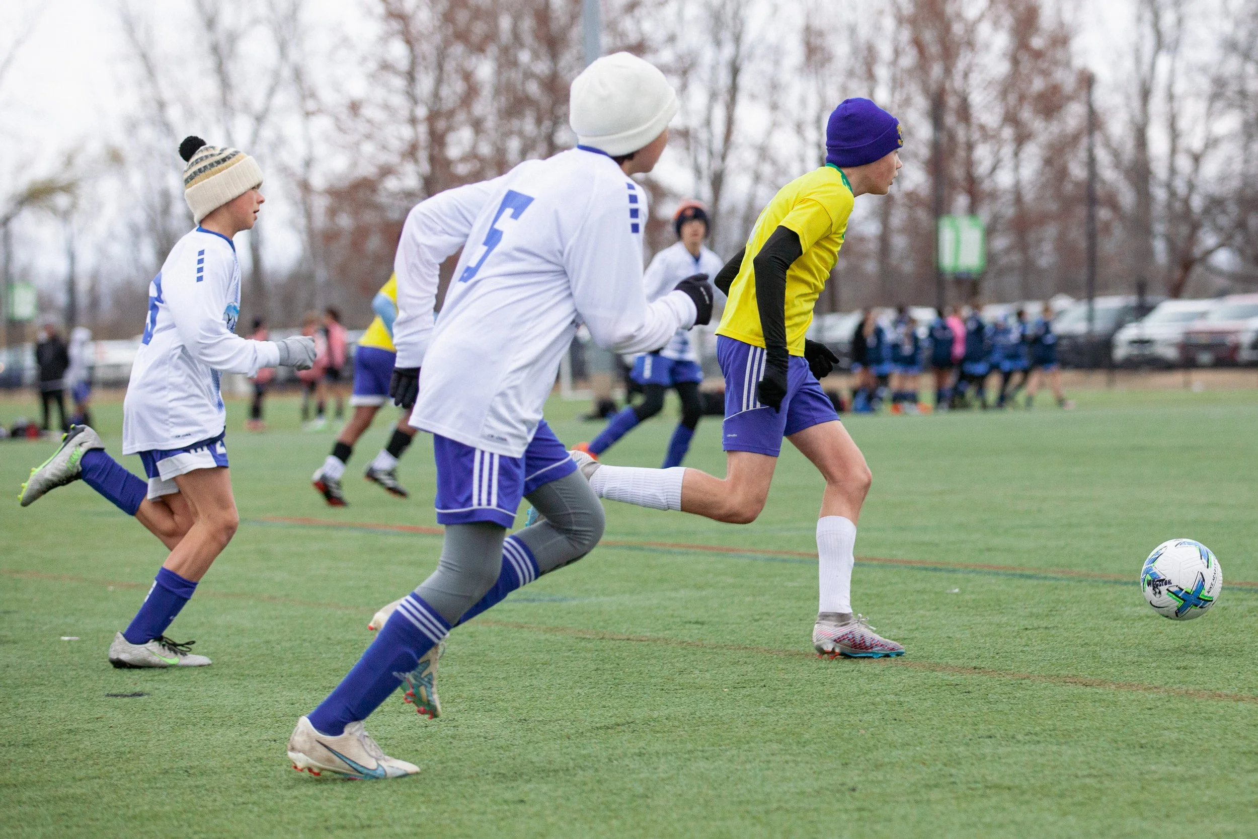IMG_4660.jpg