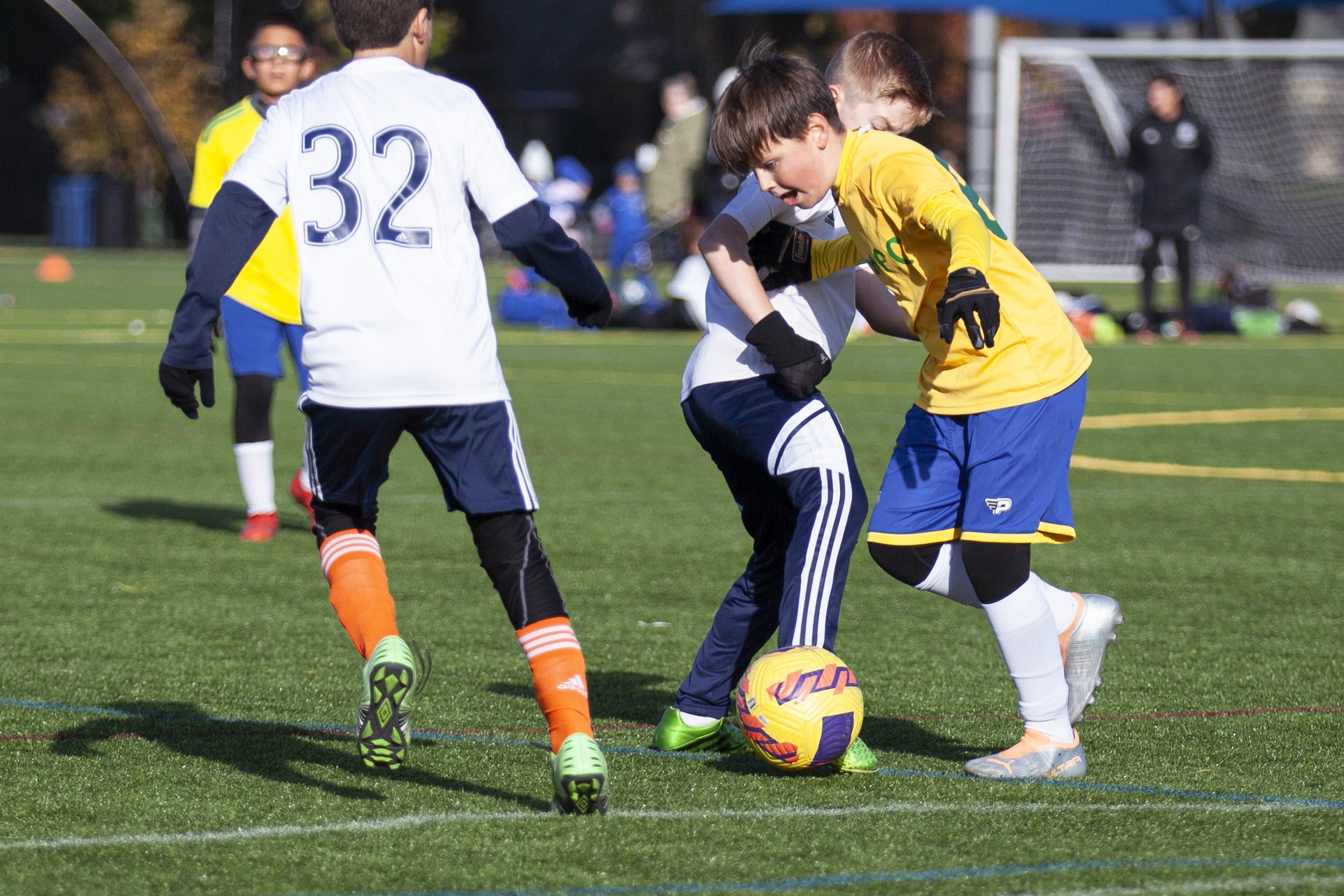 IMG_4943 copy.jpg