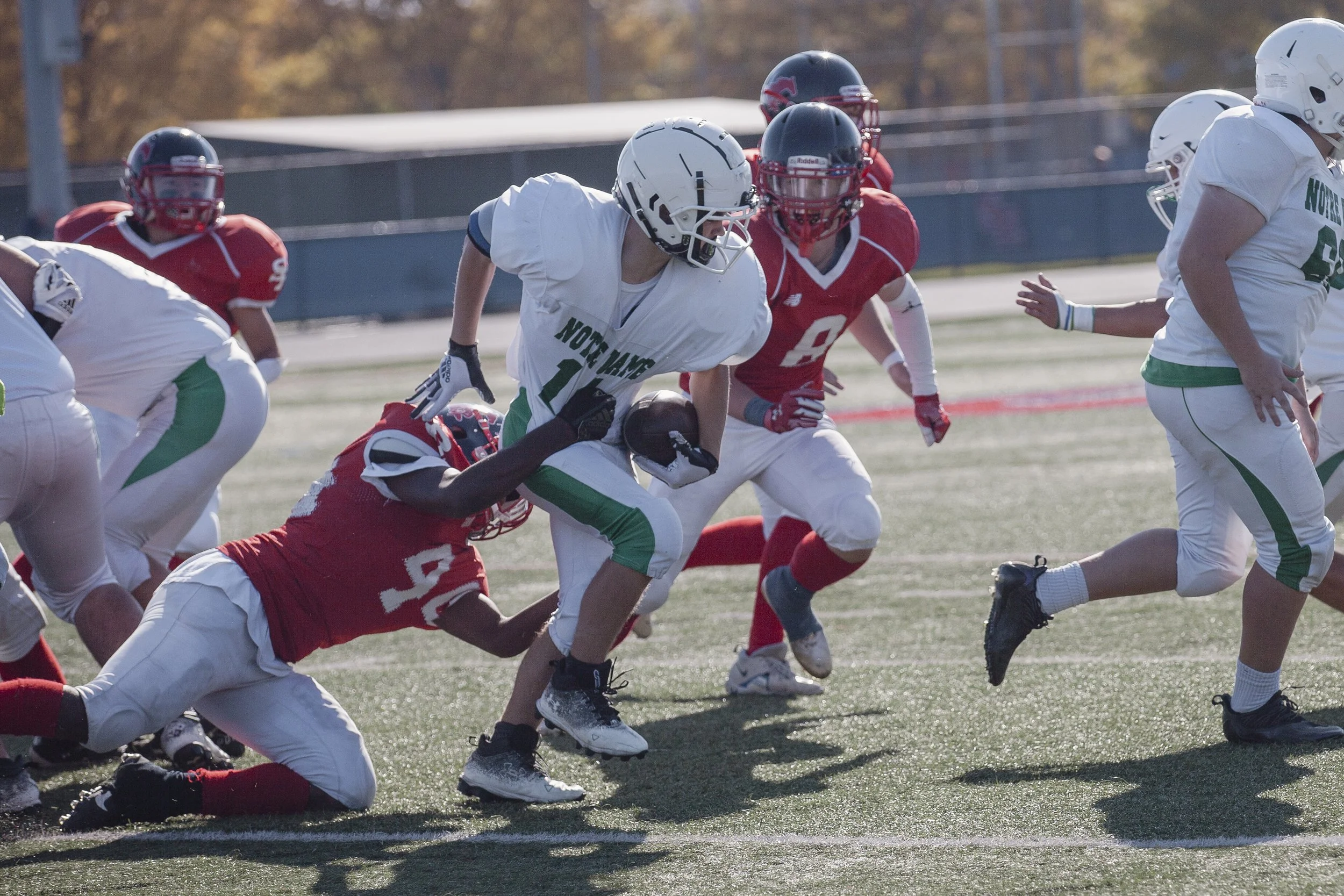 IMG_7185 copy.jpg