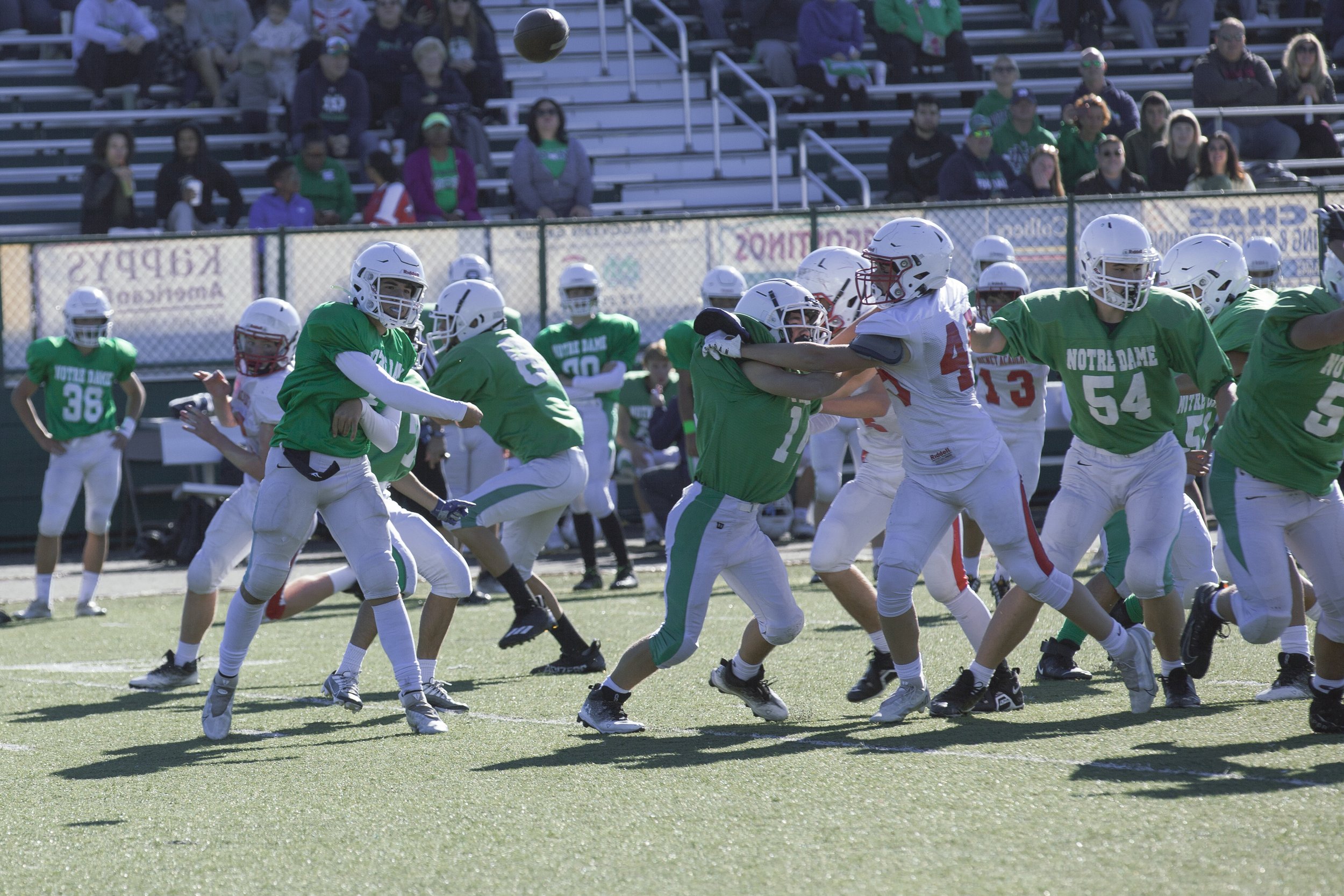 IMG_2406 copy.jpg