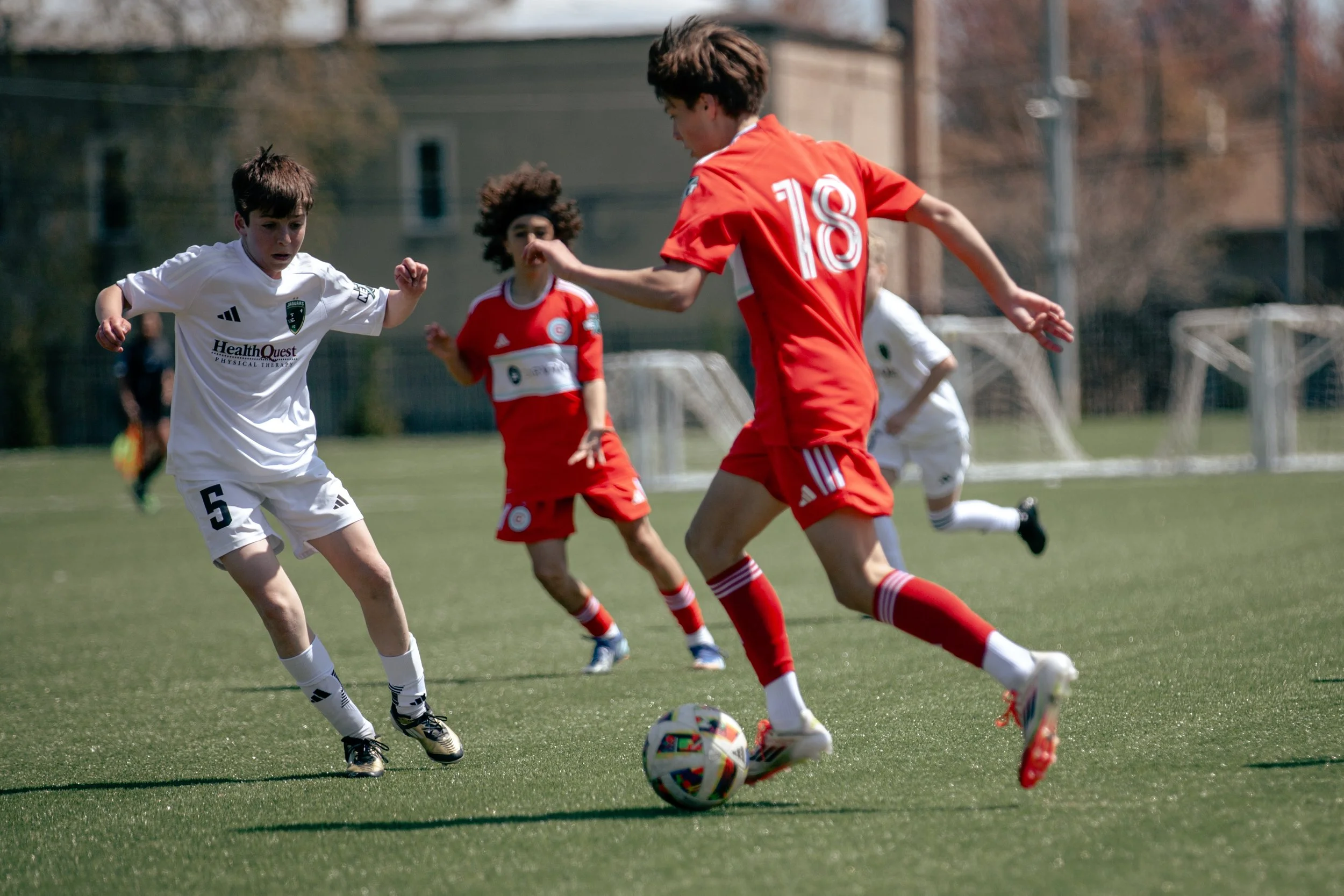 IMG_5799.jpg