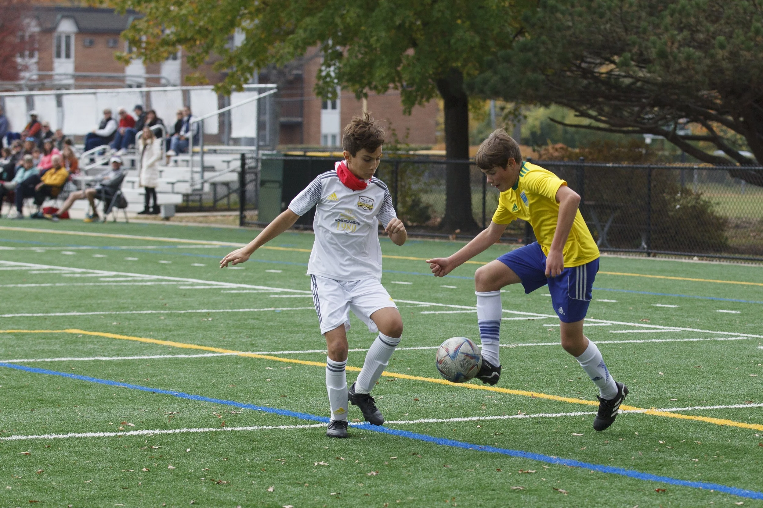 IMG_8991 copy.jpg