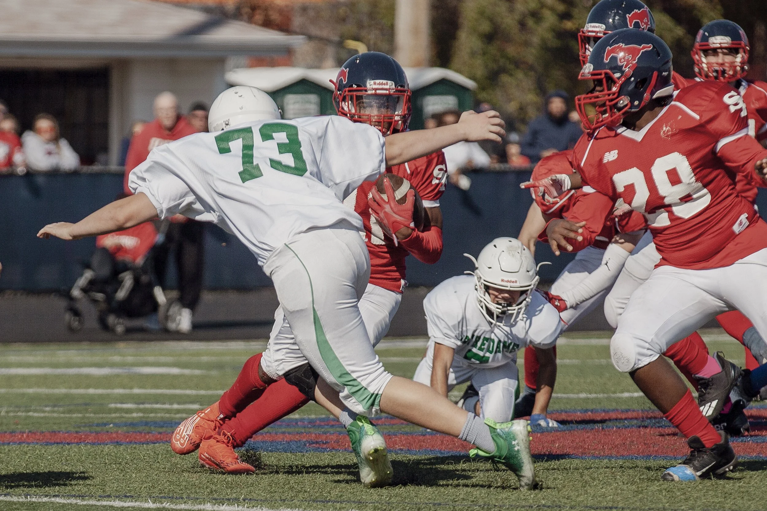 IMG_7241 copy.jpg