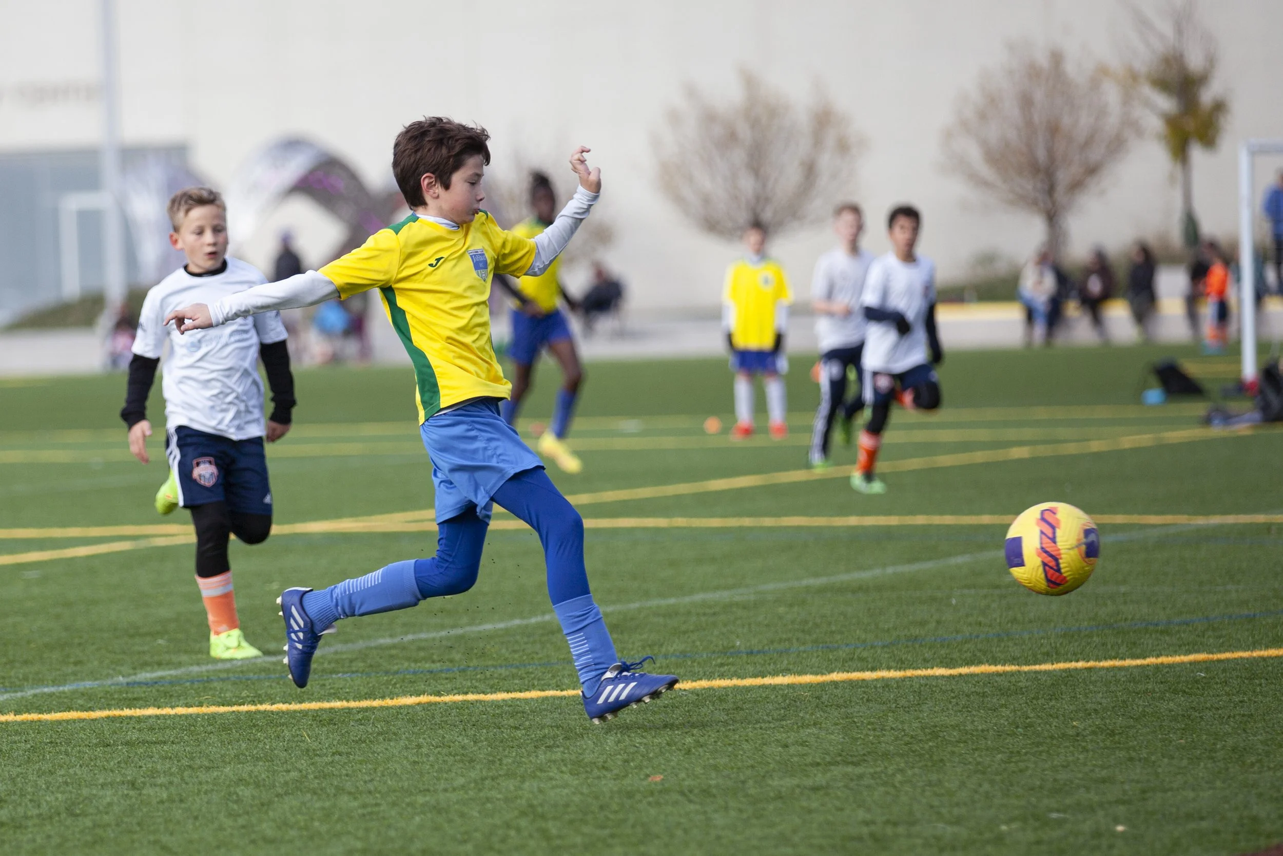 IMG_4810 copy.jpg