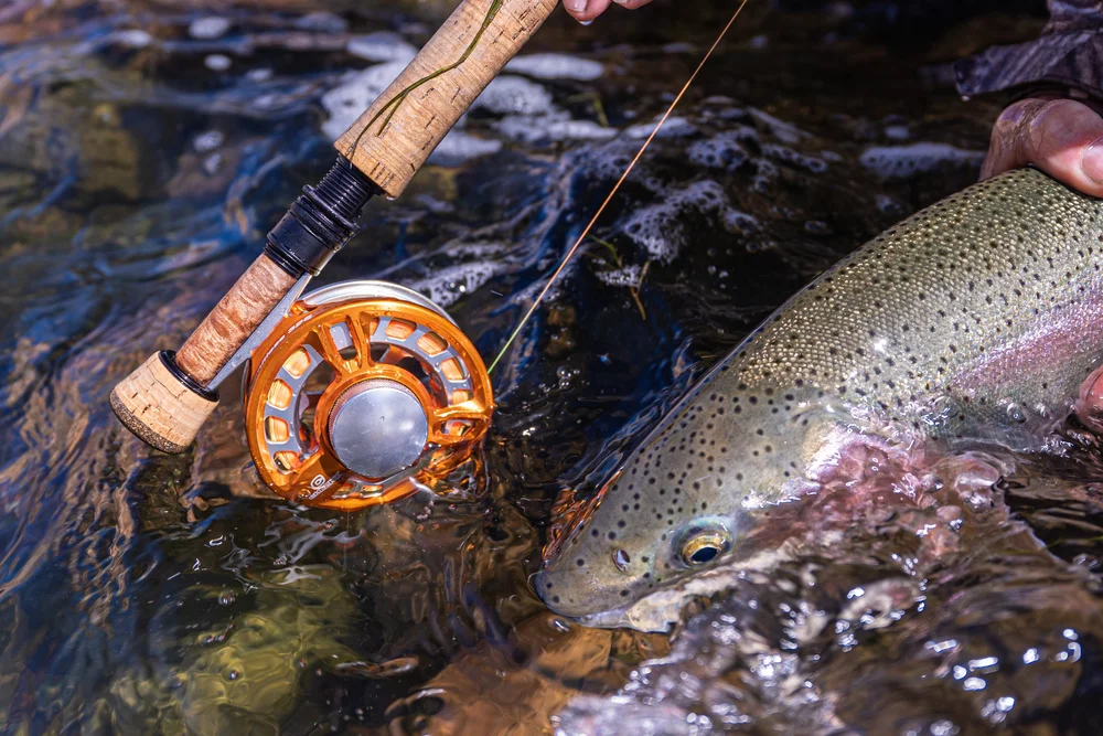 Josh Miller Fly Fishing