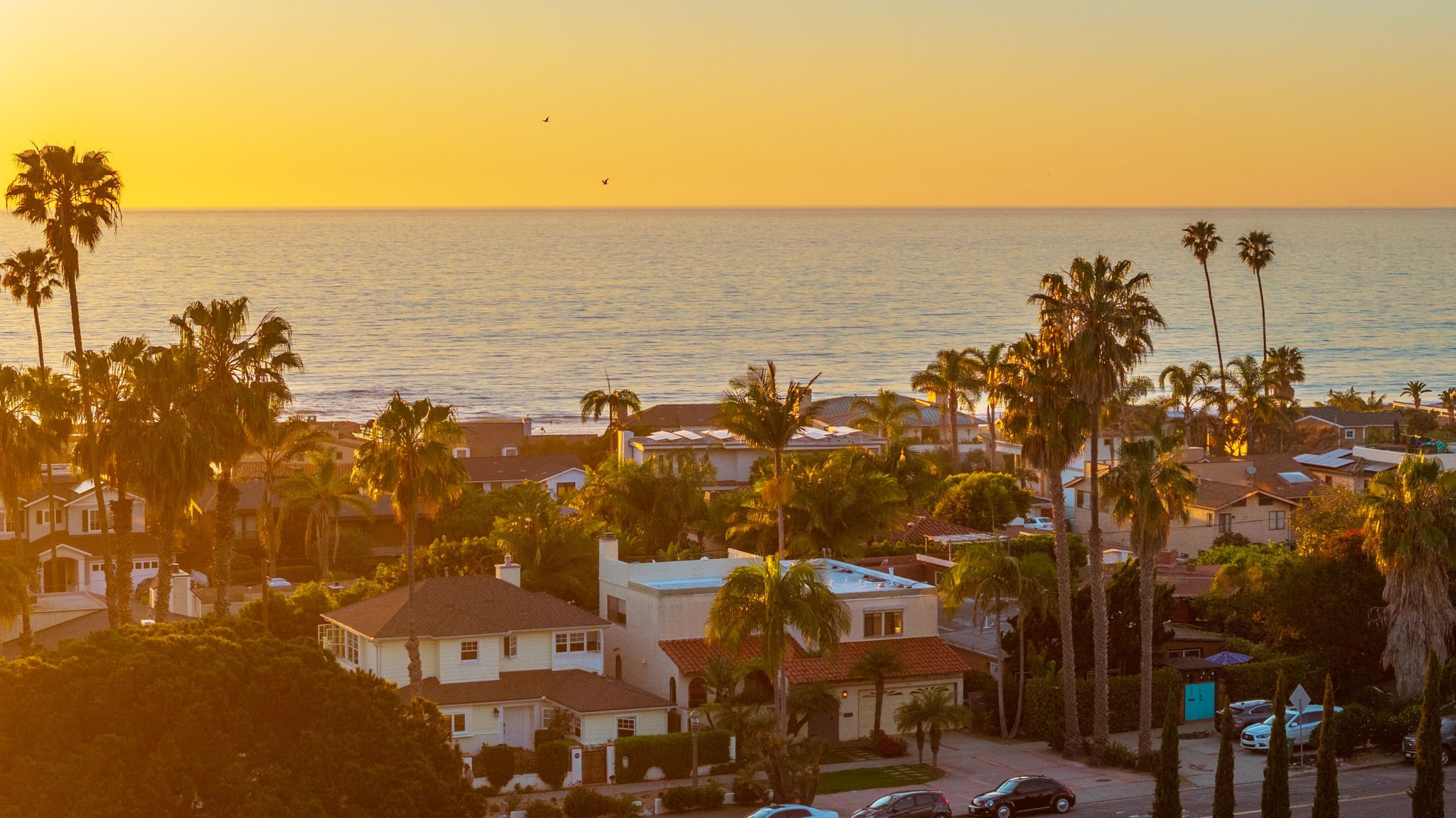 la jolla shores