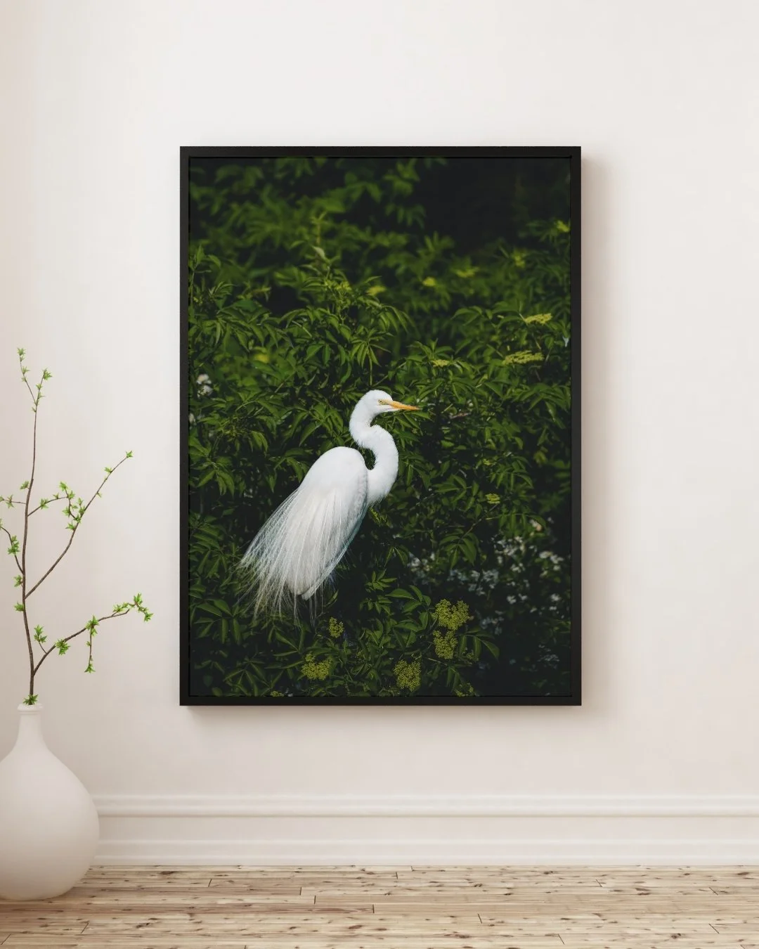 grande_aigrette_2.jpg