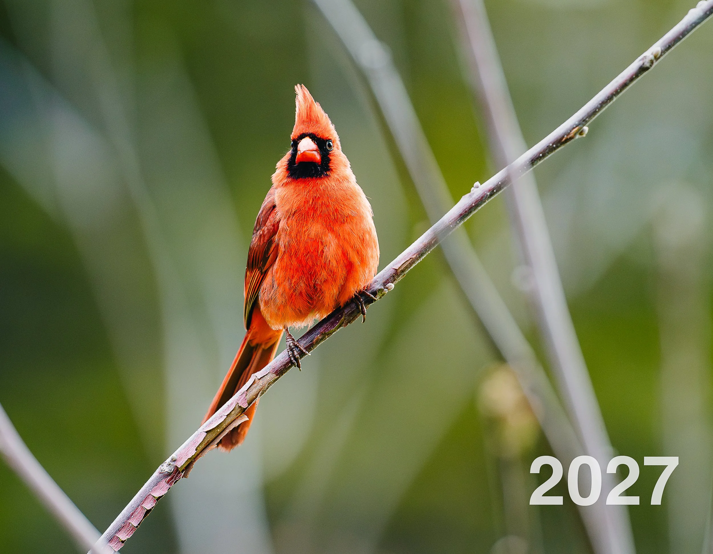 Calendrier 2027