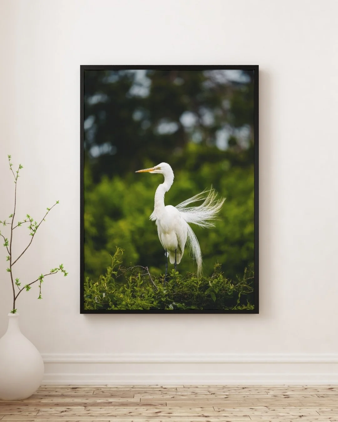grande_aigrette_3.jpg