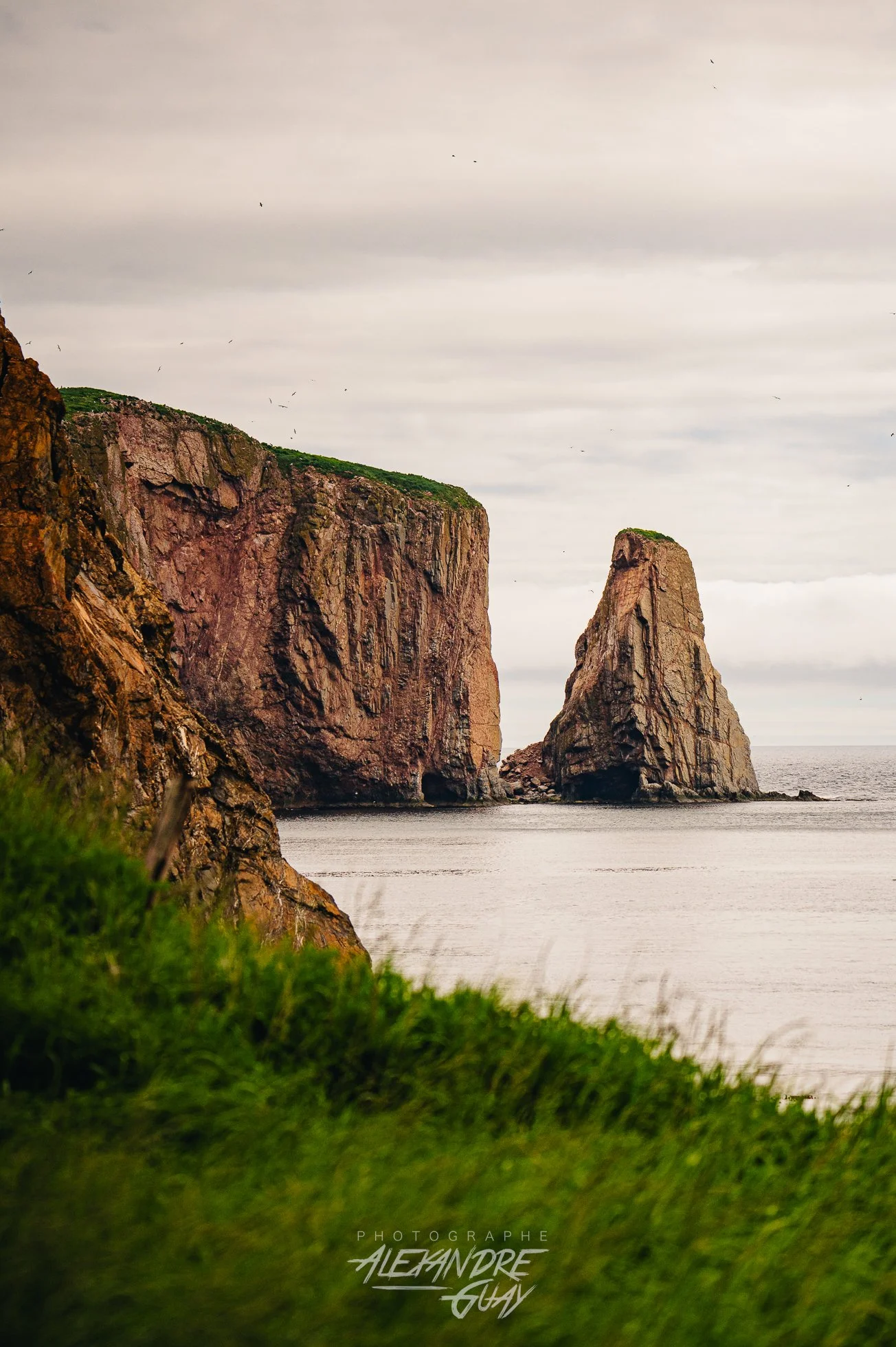 Rocher Percé 4