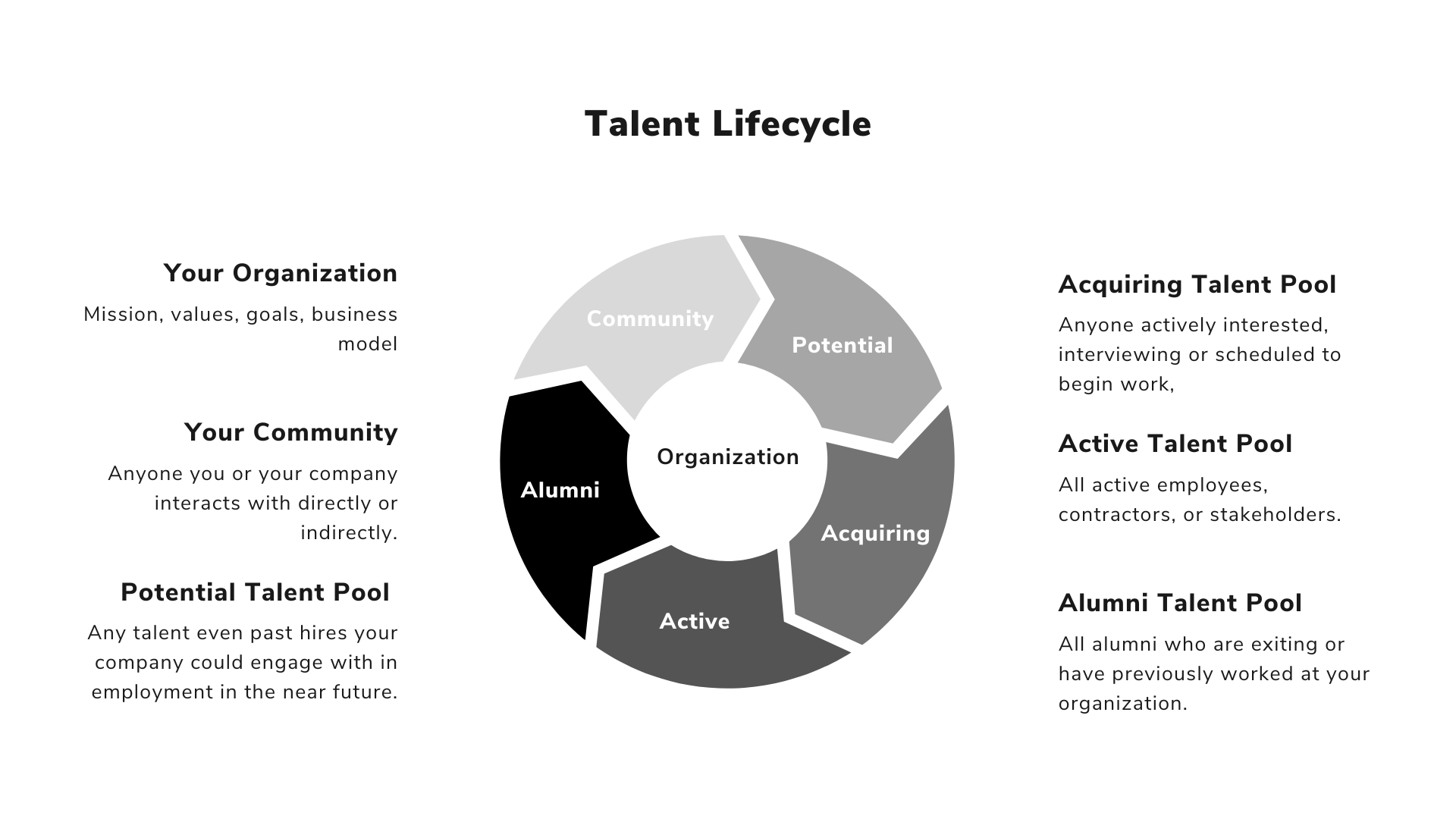 Talent Management Is a Cycle Not a Timeline — Talent Praxis x Chelsea Seid