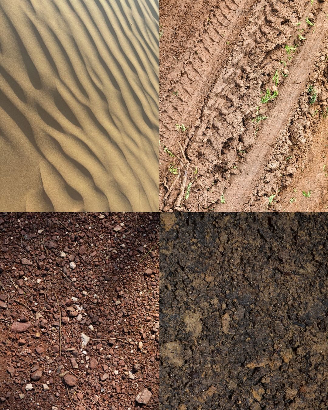 GOT DIRT? EVERYTHING YOU NEED TO KNOW ABOUT THE 4 TYPES OF SOIL