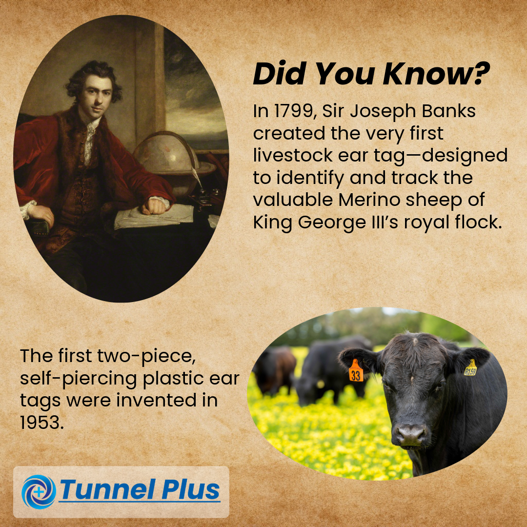 Untitled - 2025-12-09T171857.629.png