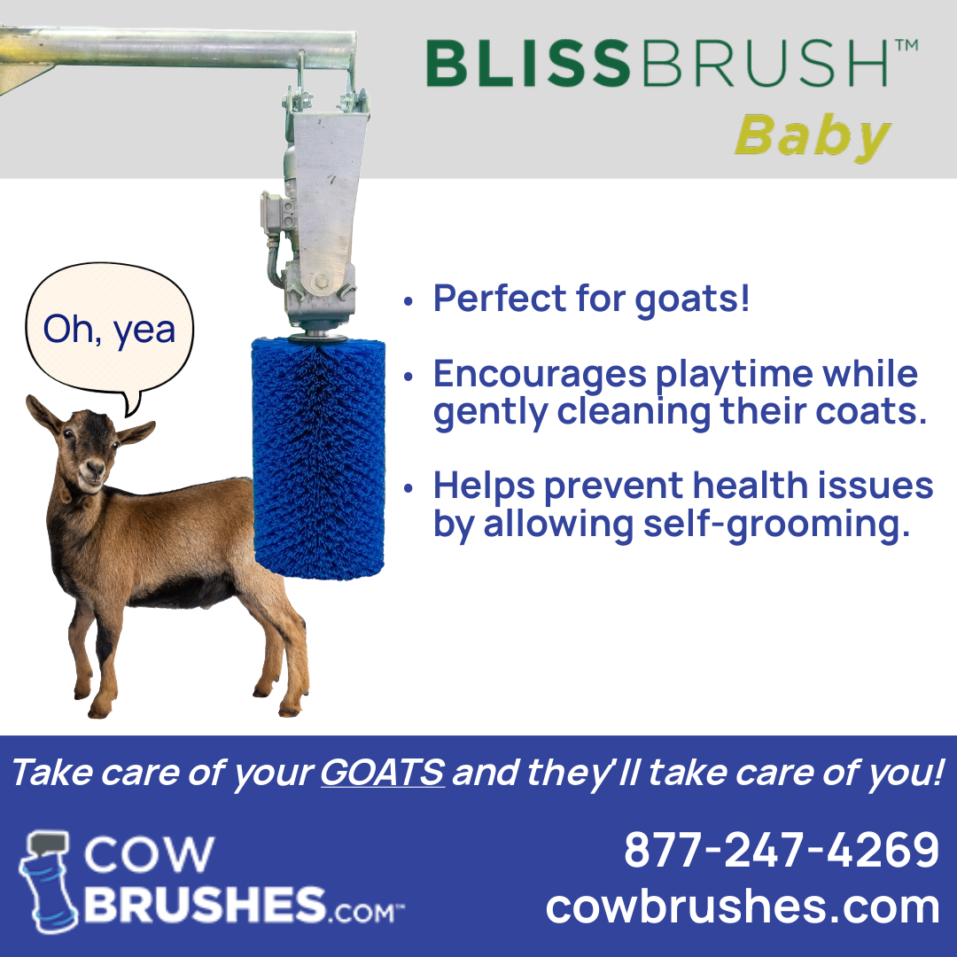 Brushes-5-Social Ad 2.png