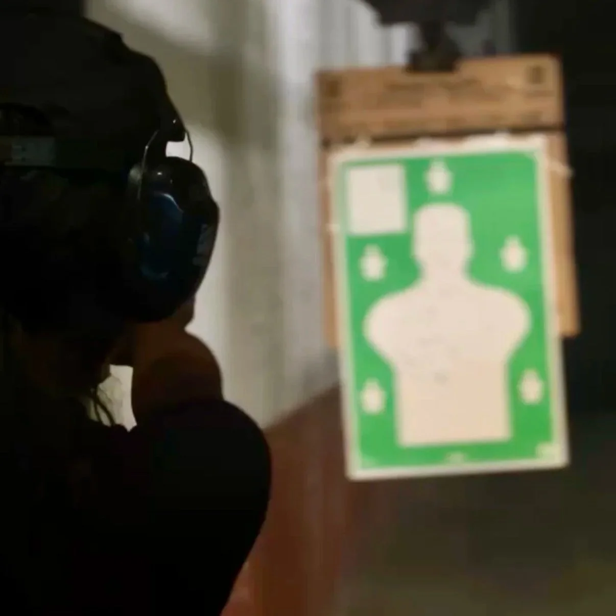 Firearm Safety in the Wild