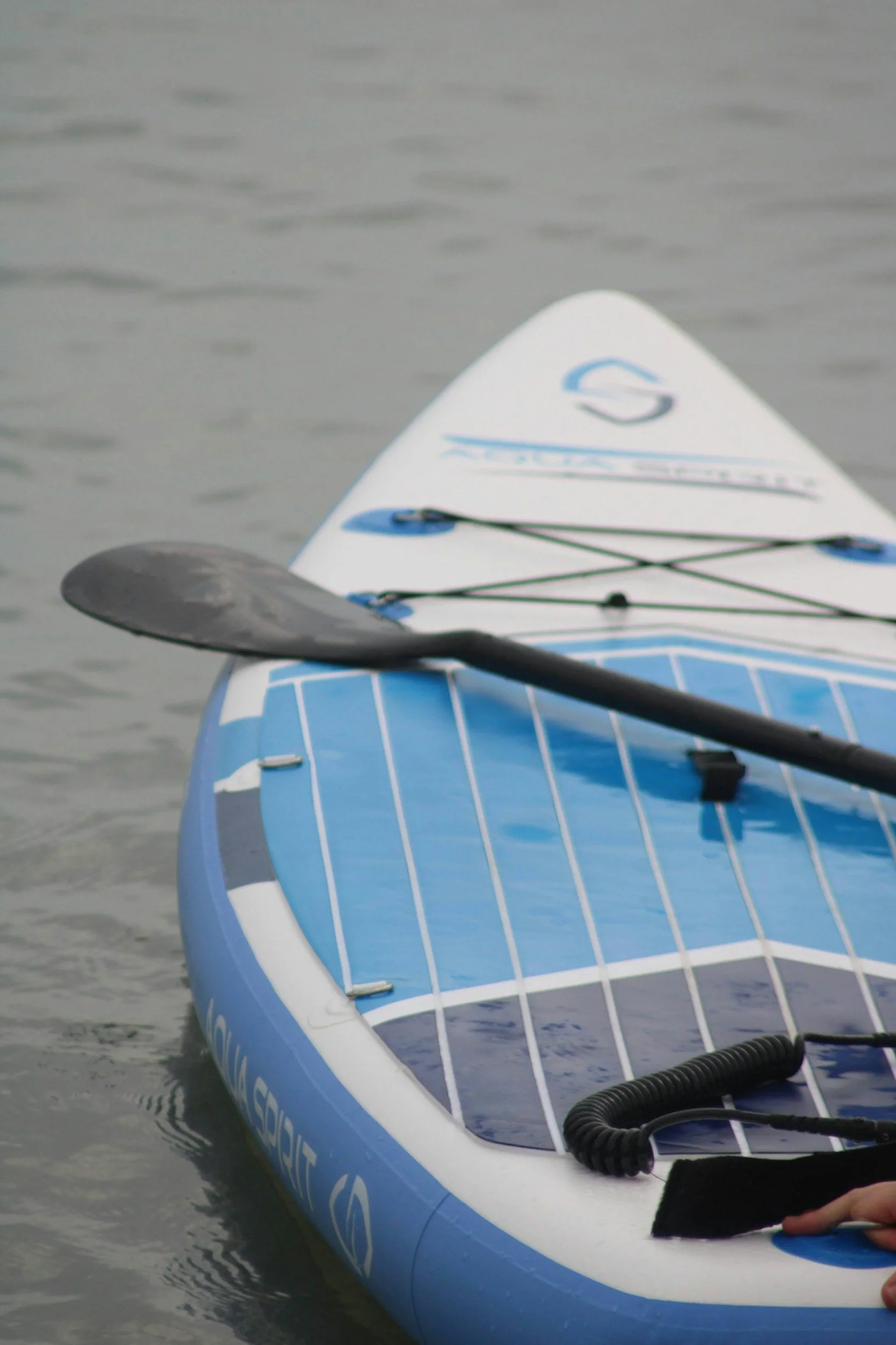 Paddleboarding in the Wild
