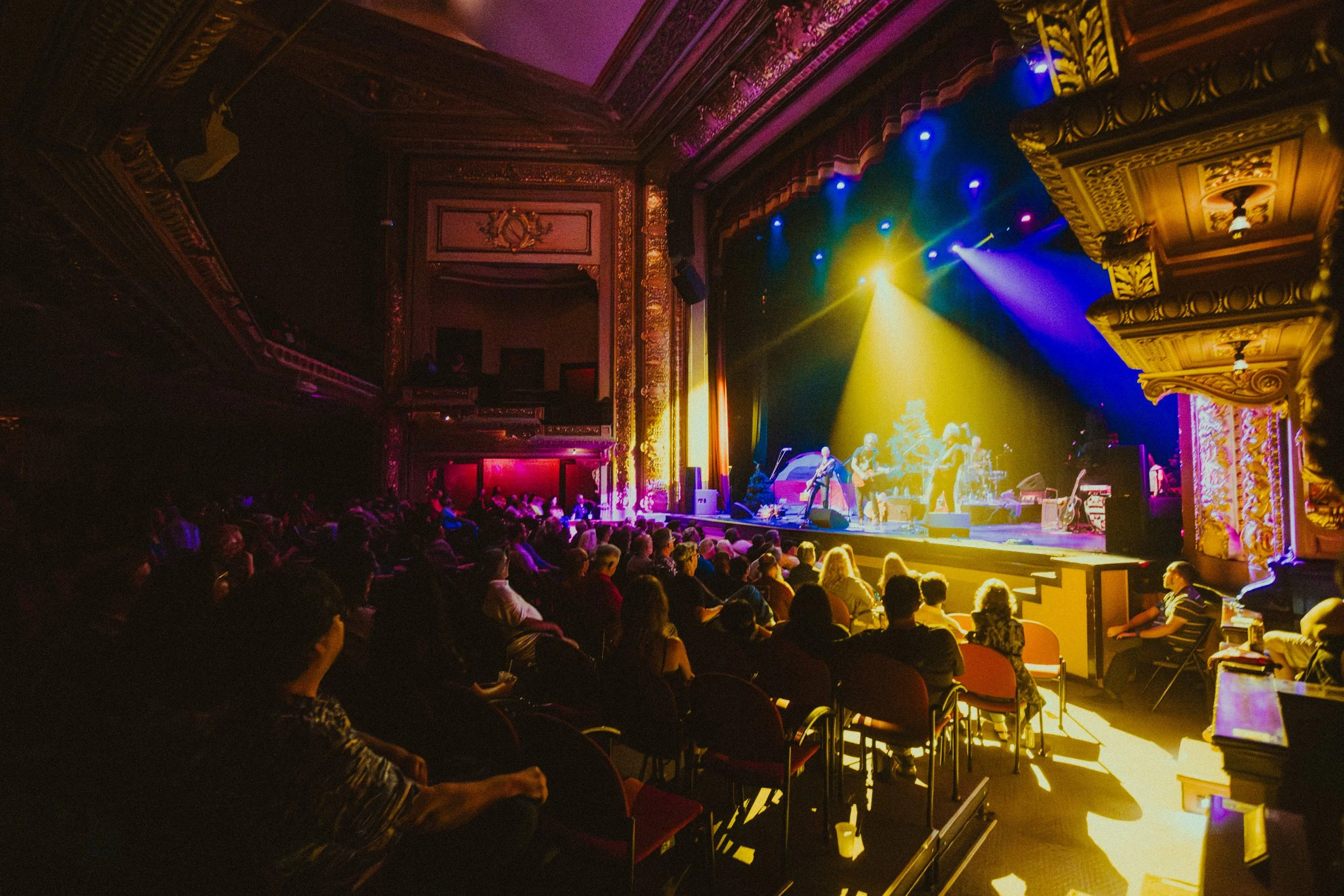 “What a Great Night to Be in a Really Old Theater Together”: Buttercup Celebrates Release of Send More Yellow 