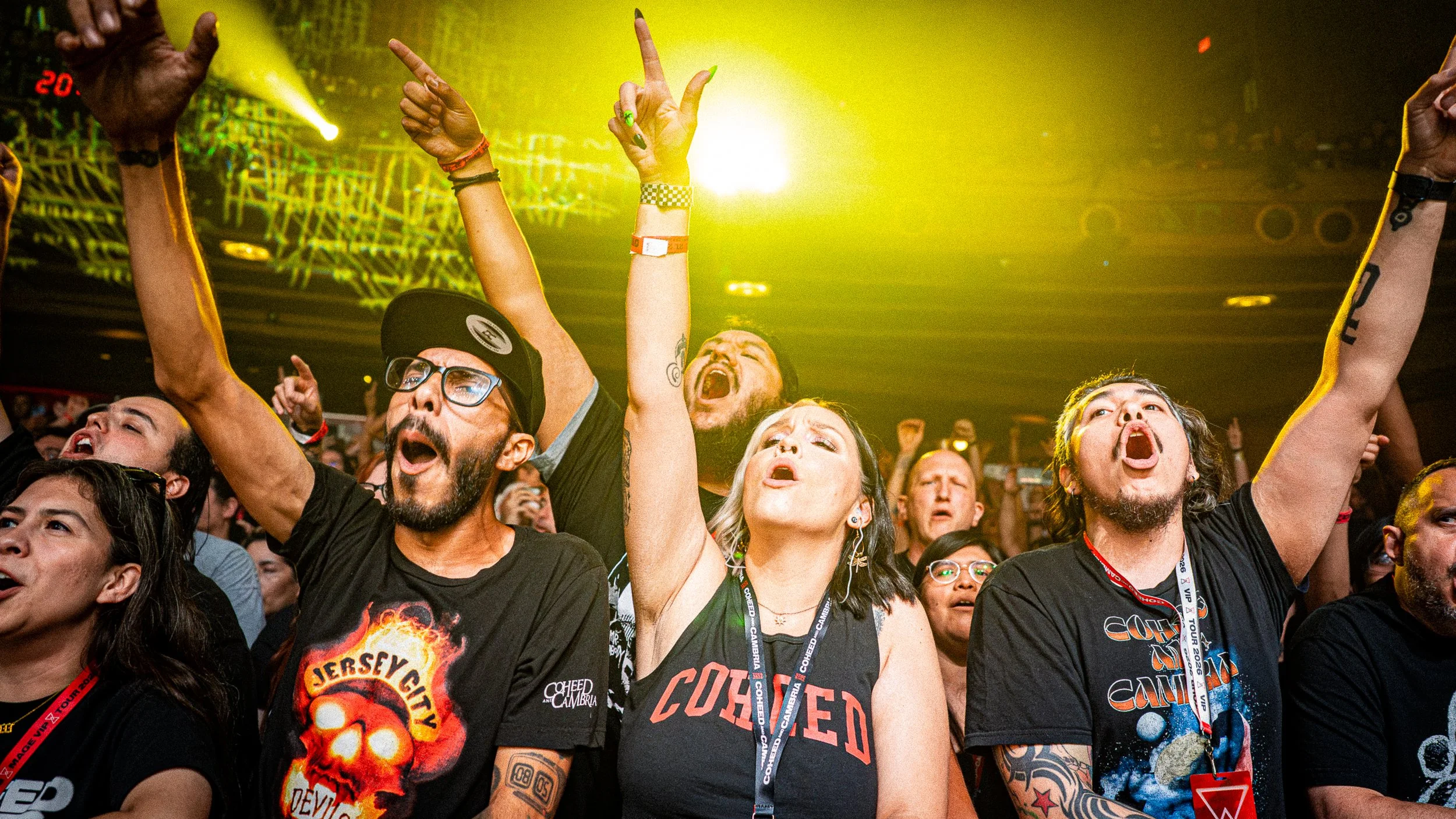 cohcrowd-08.jpg